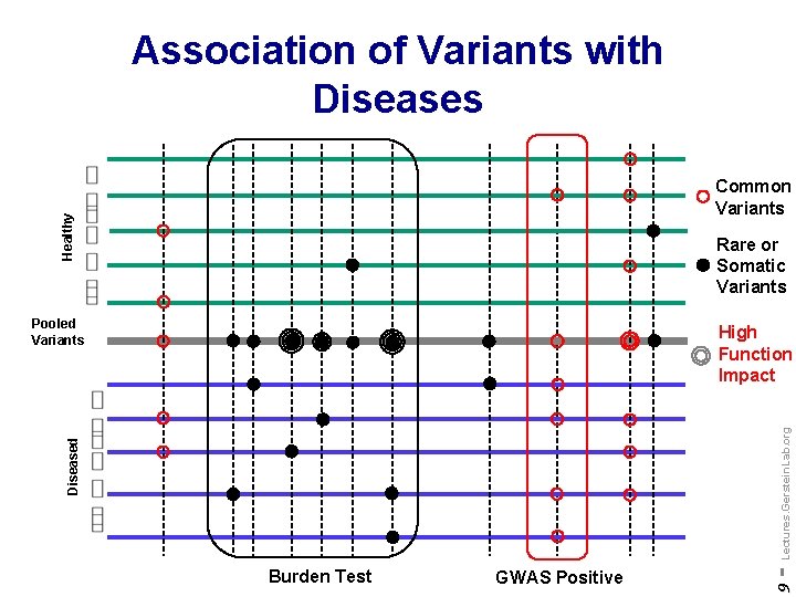 Association of Variants with Diseases Healthy Common Variants Rare or Somatic Variants Pooled Variants