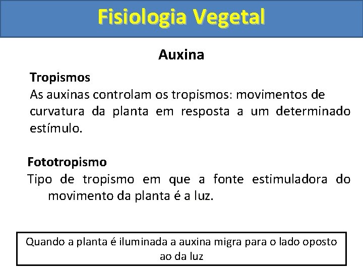 Fisiologia Vegetal Auxina Tropismos As auxinas controlam os tropismos: movimentos de curvatura da planta