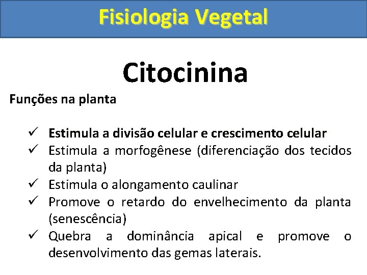 Fisiologia Vegetal Funções na planta Citocinina ü Estimula a divisão celular e crescimento celular