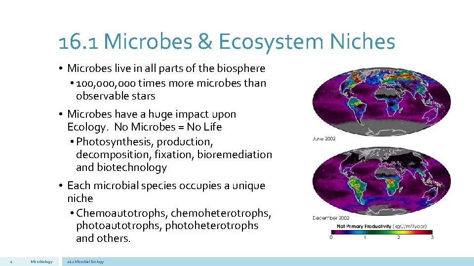 16. 1 Microbes & Ecosystem Niches • Microbes live in all parts of the