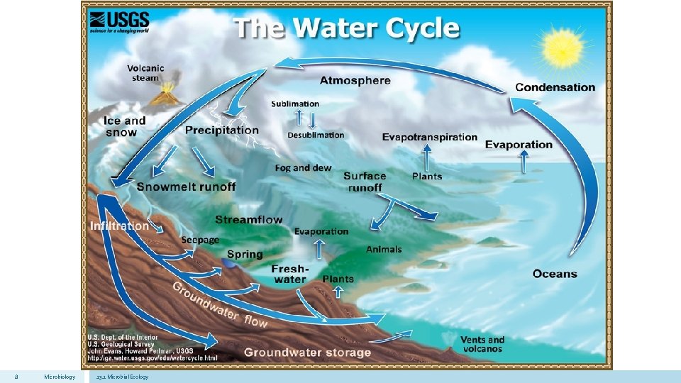 8 Microbiology 13. 1 Microbial Ecology 
