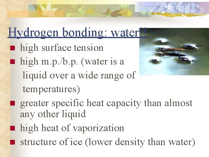 Hydrogen bonding: water!! n n n high surface tension high m. p. /b. p.