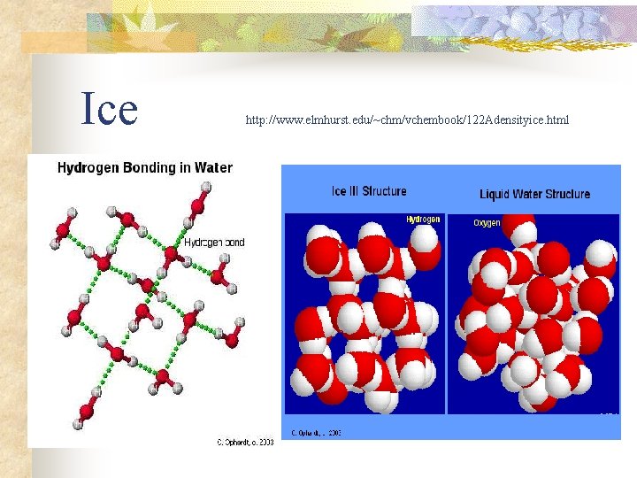 Ice http: //www. elmhurst. edu/~chm/vchembook/122 Adensityice. html 