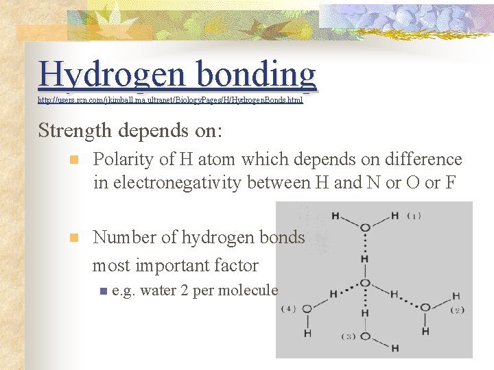 Hydrogen bonding http: //users. rcn. com Hydrogen. Bonds. html http: //users. rcn. com//jkimball. ma.