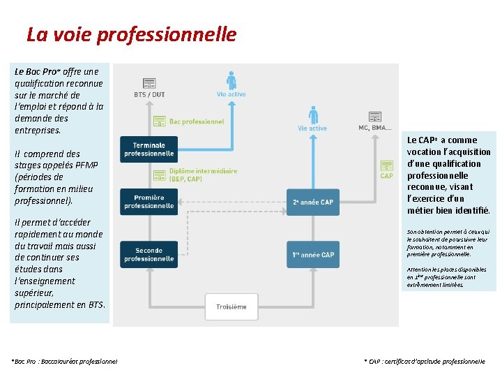 La voie professionnelle Le Bac Pro* offre une qualification reconnue sur le marché de