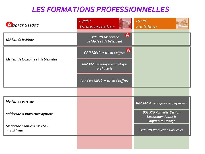 LES FORMATIONS PROFESSIONNELLES A pprentissage Métiers de la Mode Lycée Toulouse Lautrec Bac Pro