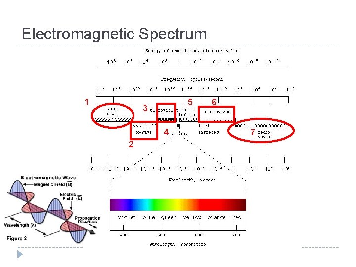 Electromagnetic Spectrum 1 5 3 4 2 6 7 