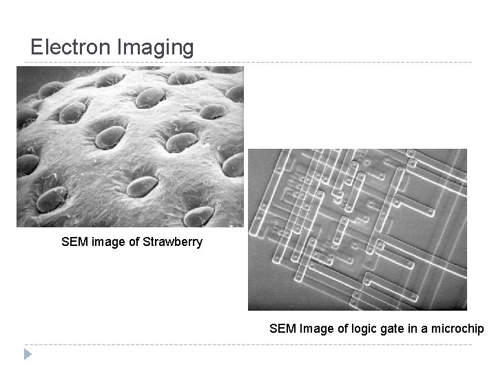 Electron Imaging SEM image of Strawberry SEM Image of logic gate in a microchip