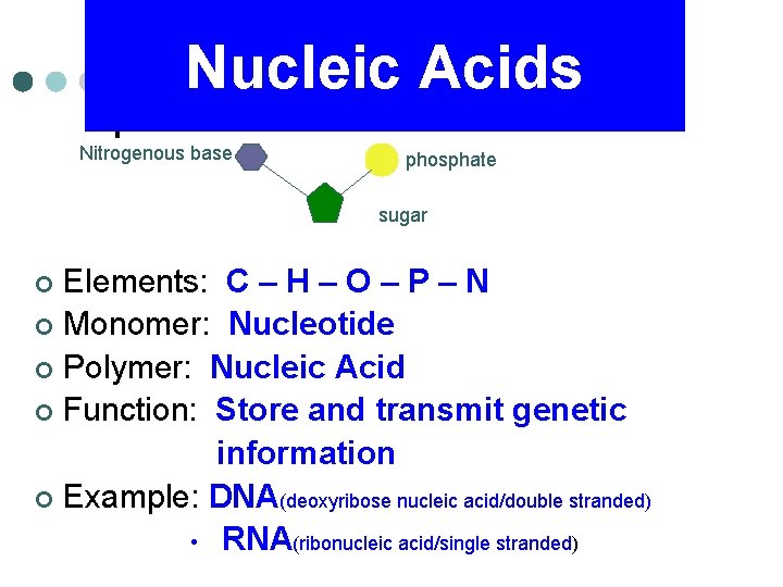 Nucleic Acids Nitrogenous base phosphate sugar Elements: C – H – O – P