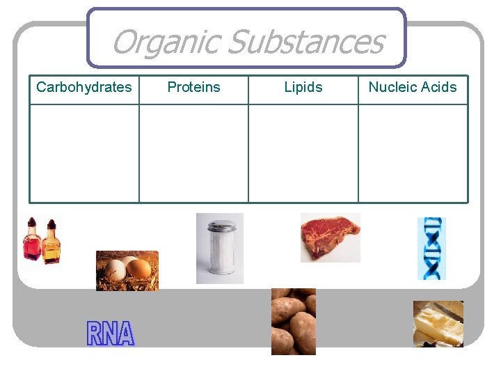 Organic Substances Carbohydrates Proteins Lipids Nucleic Acids 