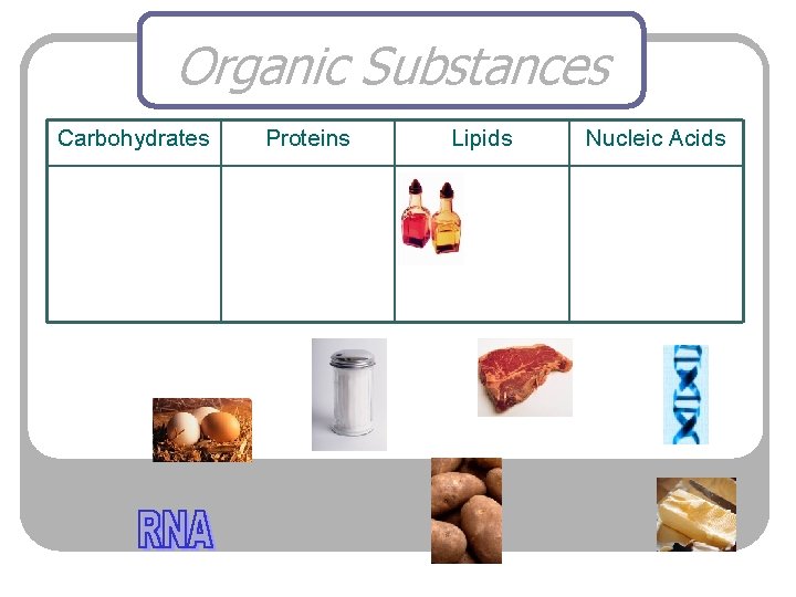 Organic Substances Carbohydrates Proteins Lipids Nucleic Acids 