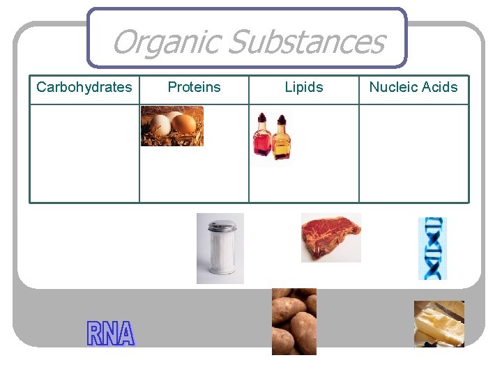 Organic Substances Carbohydrates Proteins Lipids Nucleic Acids 