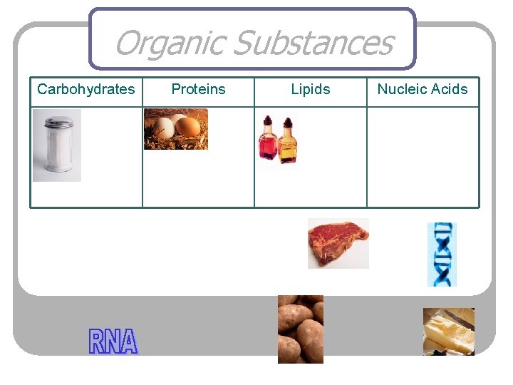 Organic Substances Carbohydrates Proteins Lipids Nucleic Acids 
