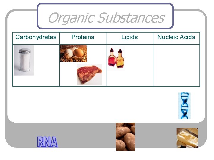 Organic Substances Carbohydrates Proteins Lipids Nucleic Acids 