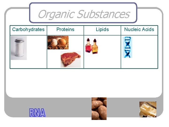 Organic Substances Carbohydrates Proteins Lipids Nucleic Acids 