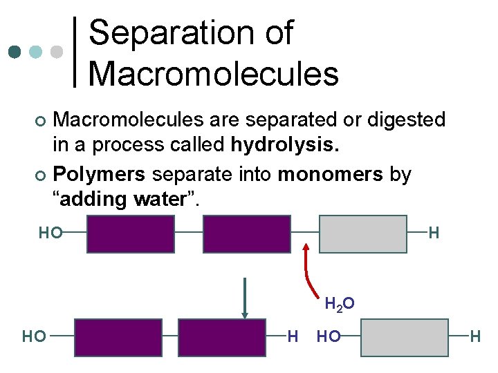 Separation of Macromolecules are separated or digested in a process called hydrolysis. ¢ Polymers