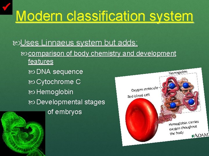 Modern classification system Uses Linnaeus system but adds: comparison of body chemistry and
