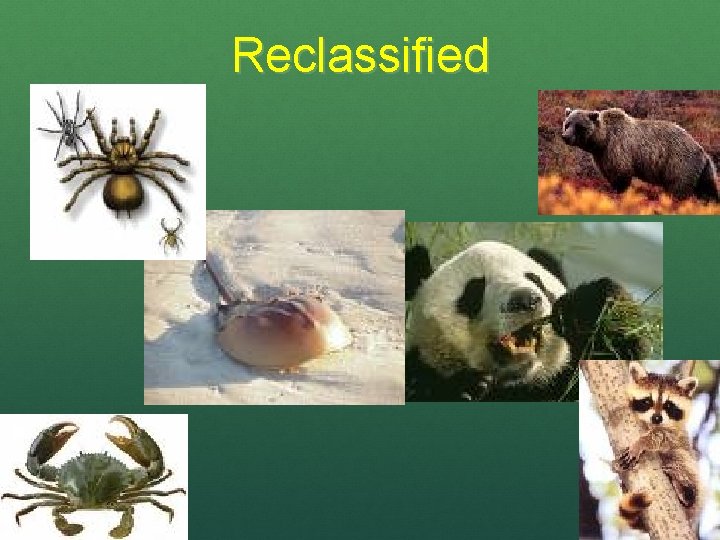 Reclassified 