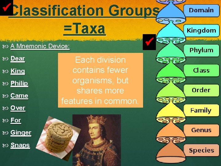  Classification Groups =Taxa A Mnemonic Device: Dear King Philip Came Over For Ginger