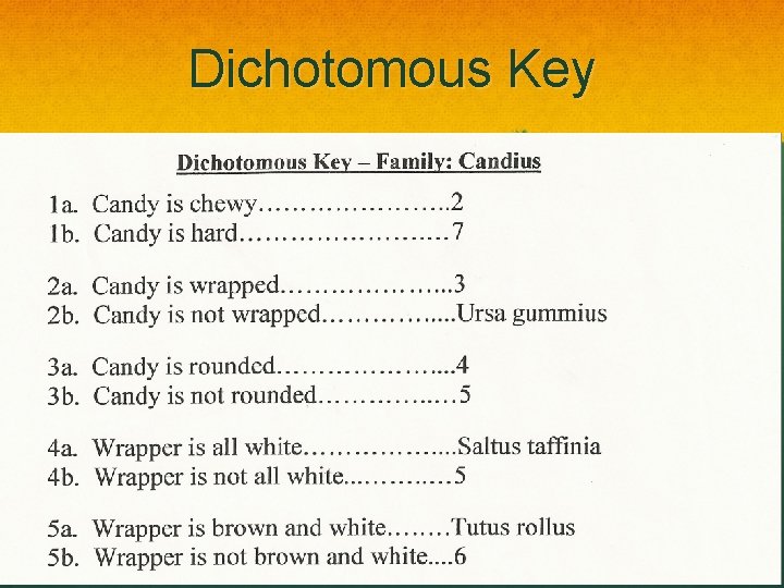 Dichotomous Key 
