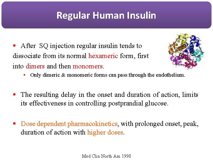 Regular Human Insulin § After SQ injection regular insulin tends to dissociate from its