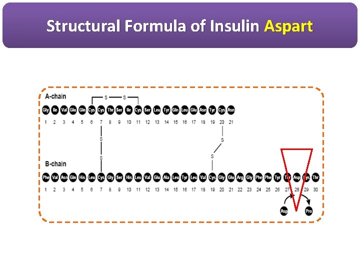 Structural Formula of Insulin Aspart 