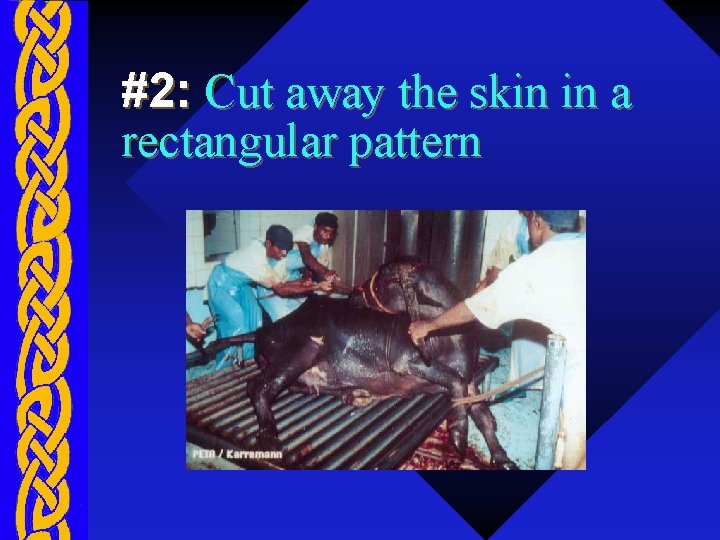 #2: Cut away the skin in a rectangular pattern 