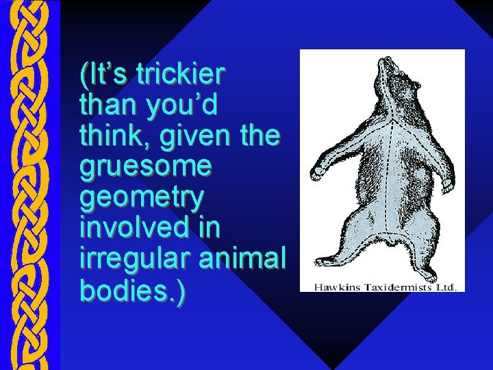 (It’s trickier than you’d think, given the gruesome geometry involved in irregular animal bodies.