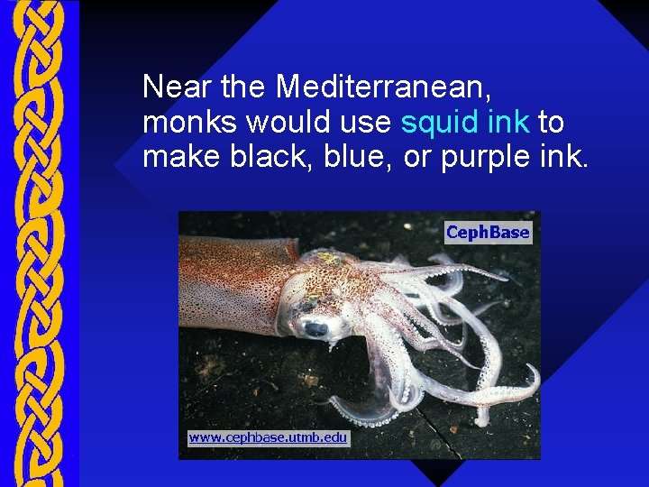 Near the Mediterranean, monks would use squid ink to make black, blue, or purple