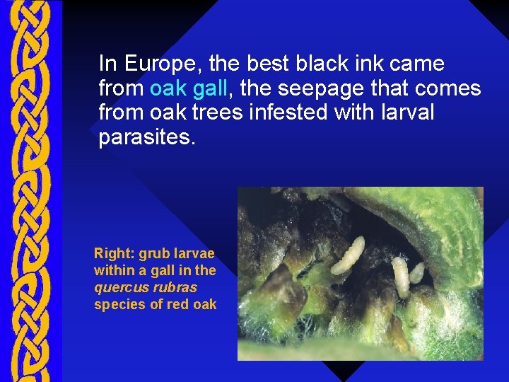 In Europe, the best black ink came from oak gall, the seepage that comes