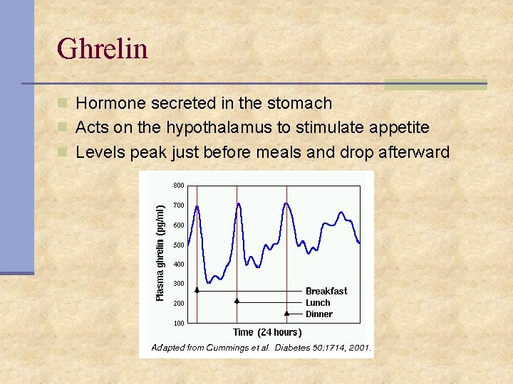 Ghrelin n Hormone secreted in the stomach n Acts on the hypothalamus to stimulate