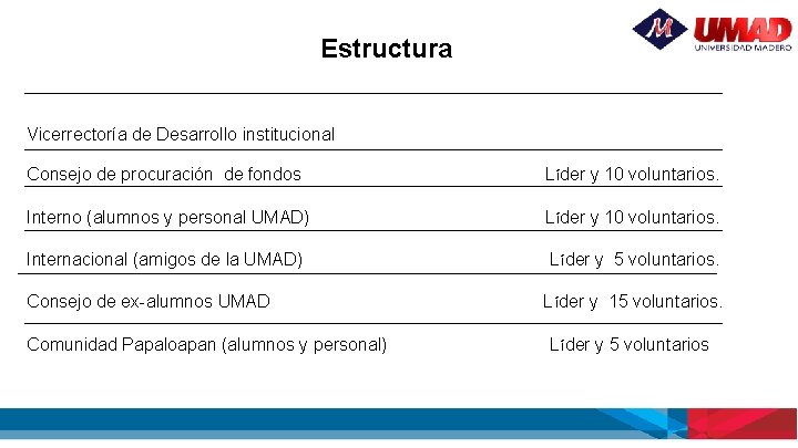 Estructura Vicerrectoría de Desarrollo institucional Consejo de procuración de fondos Líder y 10 voluntarios.