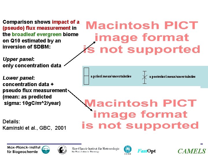 Comparison shows impact of a (pseudo) flux measurement in the broadleaf evergreen biome on