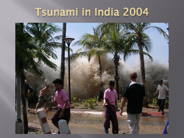 Tsunami in India 2004 