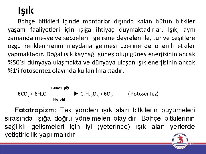 Işık Bahçe bitkileri içinde mantarlar dışında kalan bütün bitkiler yaşam faaliyetleri için ışığa ihtiyaç