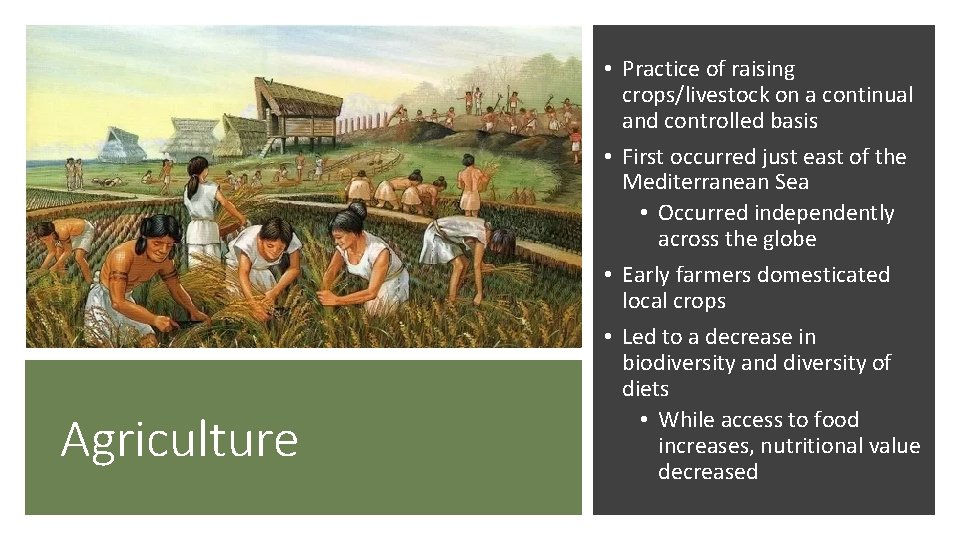 Agriculture • Practice of raising crops/livestock on a continual and controlled basis • First