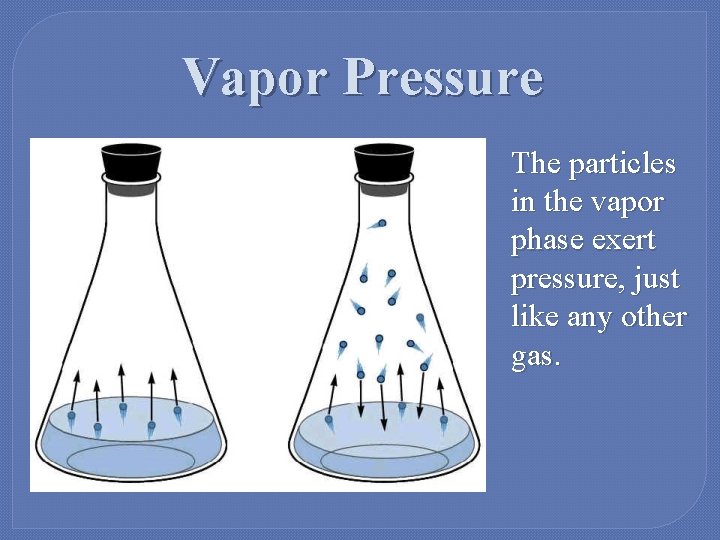 Vapor Pressure The particles in the vapor phase exert pressure, just like any other