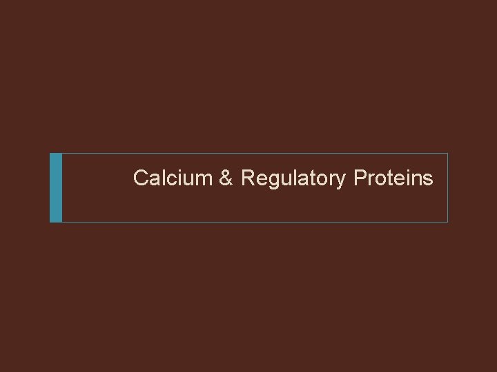 Calcium & Regulatory Proteins 