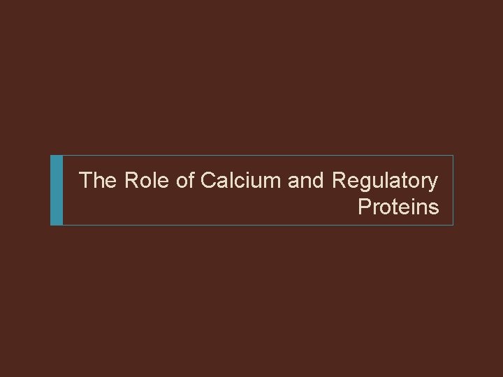 The Role of Calcium and Regulatory Proteins 