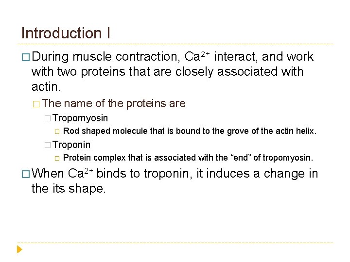 Introduction I � During muscle contraction, Ca 2+ interact, and work with two proteins