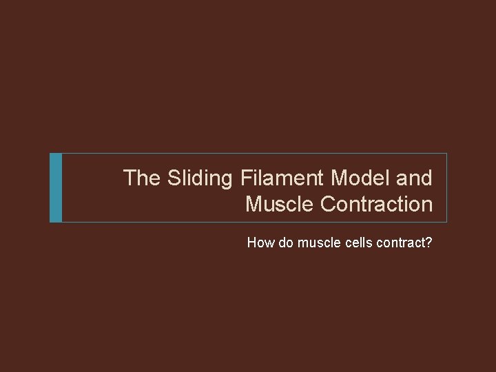 The Sliding Filament Model and Muscle Contraction How do muscle cells contract? 