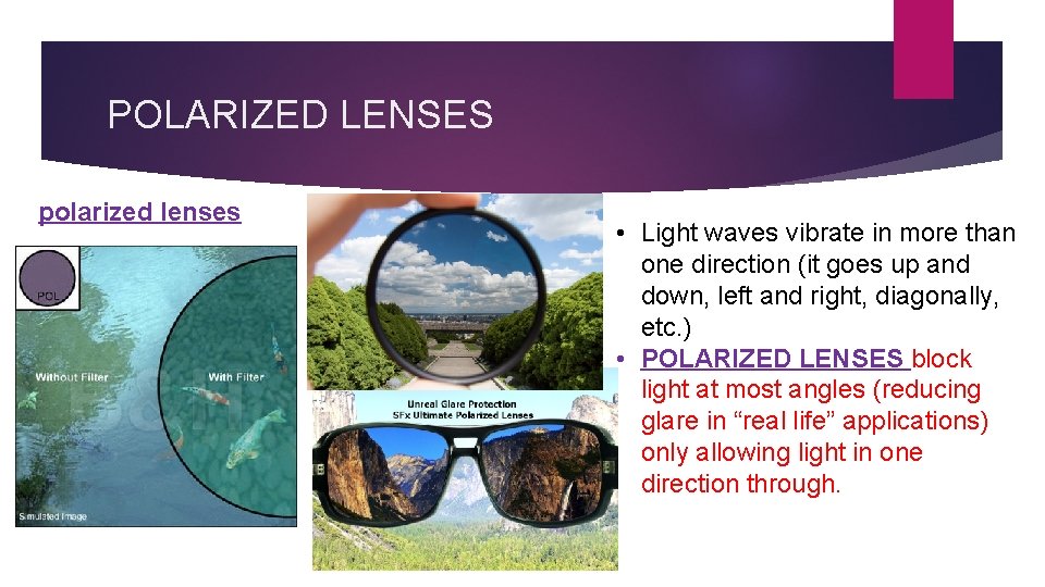POLARIZED LENSES polarized lenses • Light waves vibrate in more than one direction (it