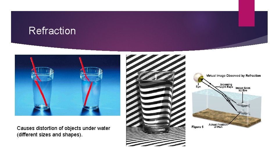 Refraction Causes distortion of objects under water (different sizes and shapes). 