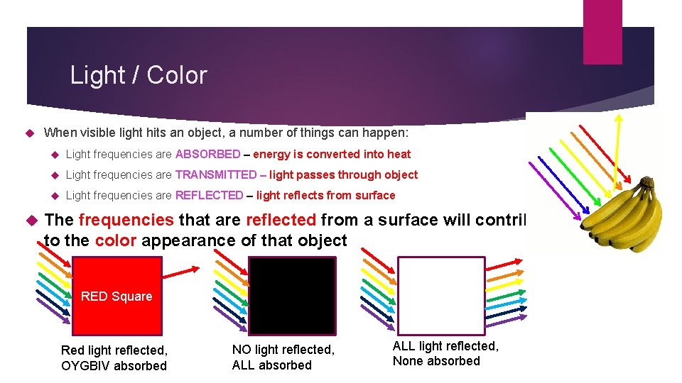 Light / Color When visible light hits an object, a number of things can