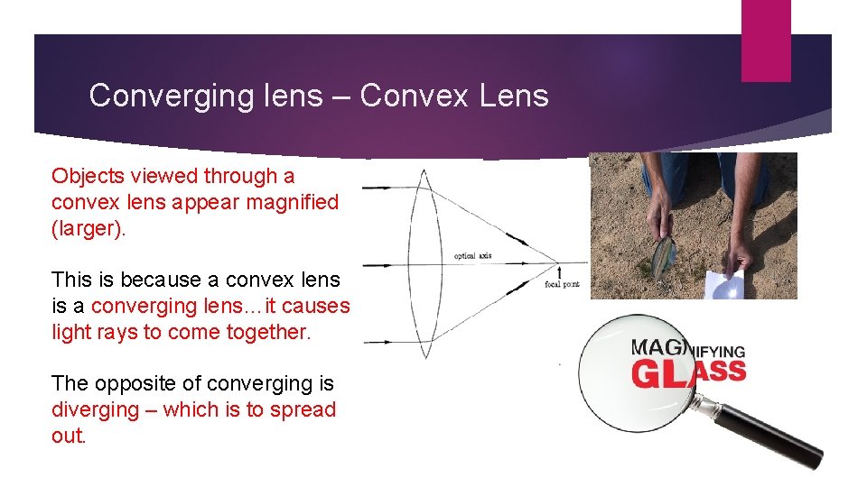Converging lens – Convex Lens Objects viewed through a convex lens appear magnified (larger).