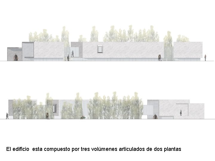 El edificio esta compuesto por tres volúmenes articulados de dos plantas 