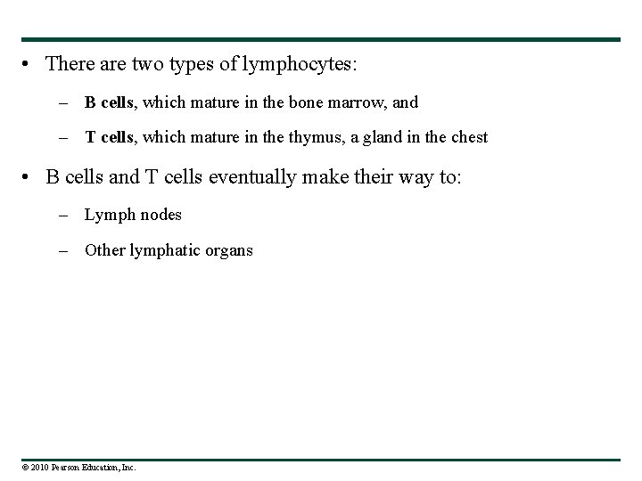  • There are two types of lymphocytes: – B cells, which mature in