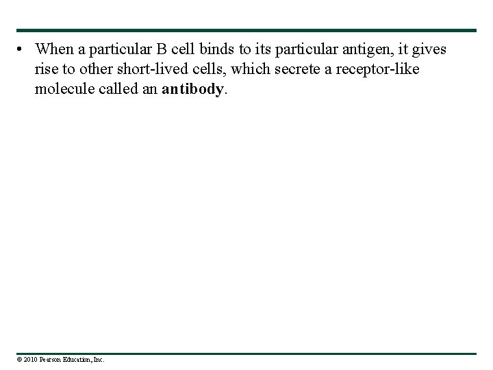  • When a particular B cell binds to its particular antigen, it gives