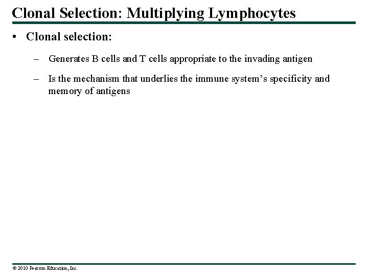Clonal Selection: Multiplying Lymphocytes • Clonal selection: – Generates B cells and T cells