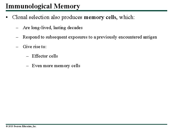 Immunological Memory • Clonal selection also produces memory cells, which: – Are long-lived, lasting